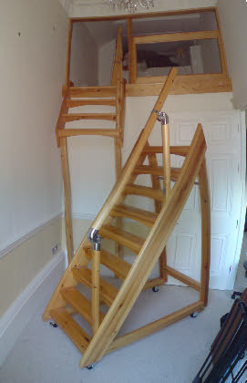 Dual Purpose Library Ladder