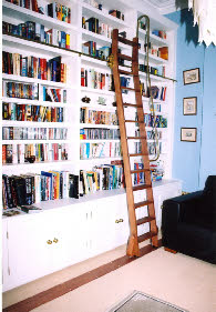 Library ladder